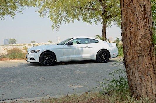 Ford Mustang Ecoboost profile view