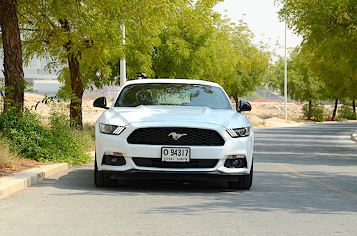 ford Mustang 2017 grille