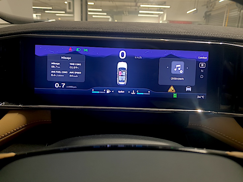 Geely Starray fuel economy